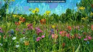 дорога цветов  - Каникулы строгого режима.