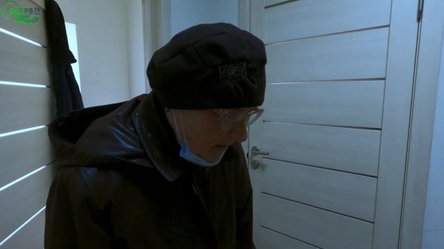 Белки. Домики для белок и птичек!