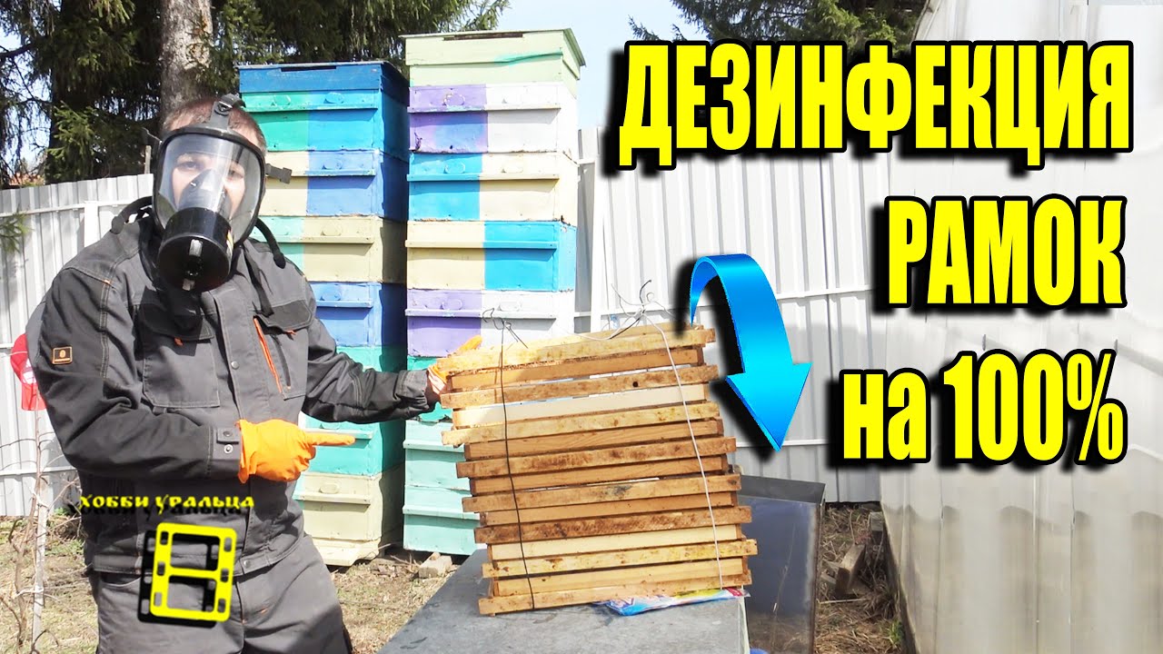 КАК ОЧИСТИТЬ РАМКИ ОТ ПЛЕСЕНИ И ПОНОСА? ДЕЗИНФЕКЦИЯ ПЧЕЛИНЫХ РАМОК. ДЛЯ НАЧИНАЮЩИХ ПЧЕЛОВОДОВ 21-9 смотреть онлайн