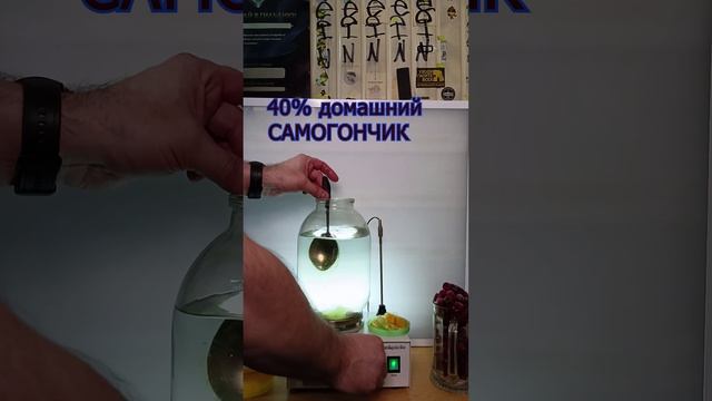 Белгородский винокур II