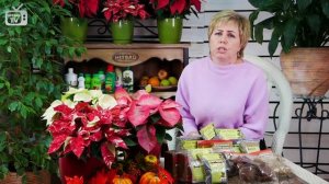 МОХ СФАГНУМ ? Как применять сфагнум в комнатном цветоводстве? ? Полезные советы hitsadTV