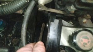 Натяжка ремня генератора Peugeot 206