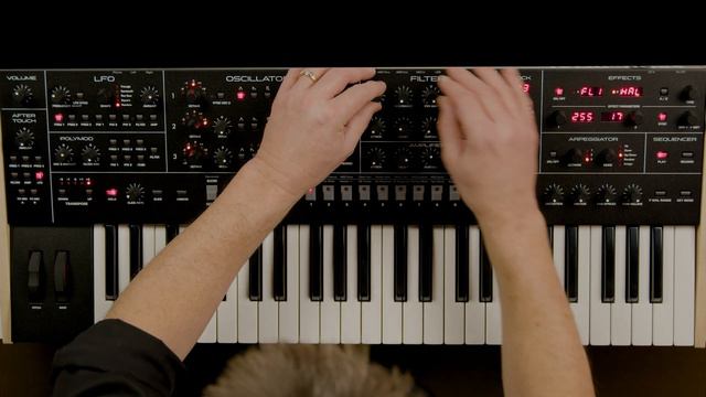 Sequential Trigon-6 Synth Demo | Sounds Only! – Daniel Fisher смотреть онлайн