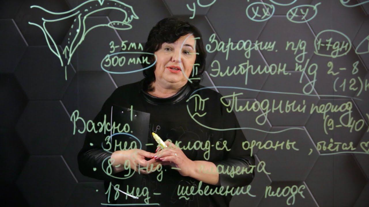 Эмбриональное развитие. 9 класс. смотреть онлайн