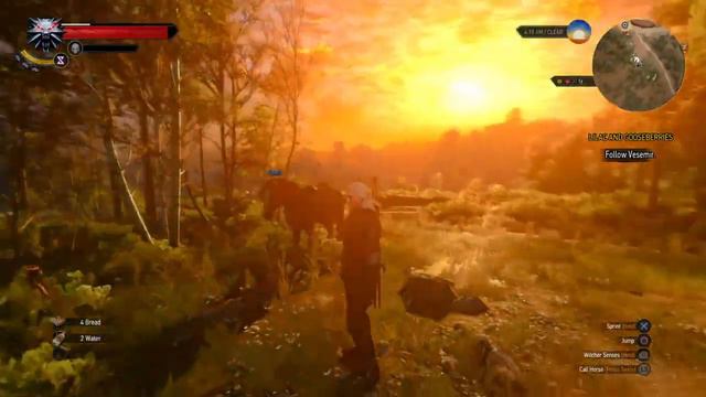 The Witcher 3: Wild Hunt_20151227020813 смотреть онлайн