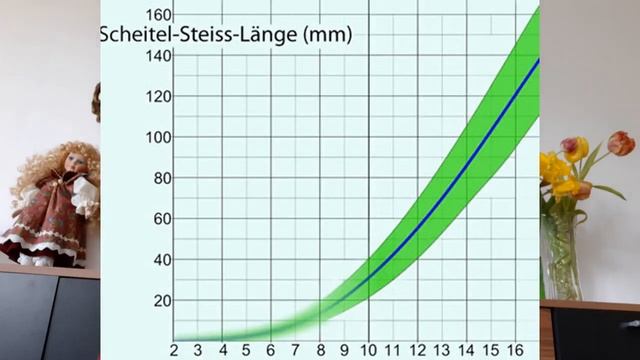 Как ПРАВИЛьНО рассчитать ПДР: По Месячным и по УЗИ. Предполагаемая дата родов. смотреть онлайн