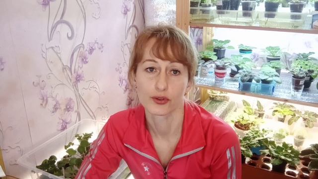 Грунт для фиалок! Верховой торф Агробалт.Теперь все просто. смотреть онлайн