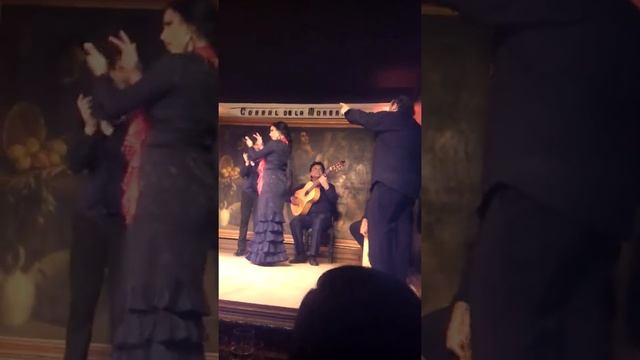 Corral de la Morería ~ Flamenco 06/03/13 Part I смотреть онлайн