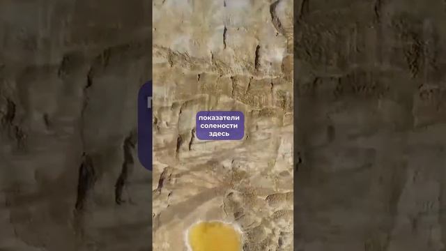 Секреты Профессионального Развития