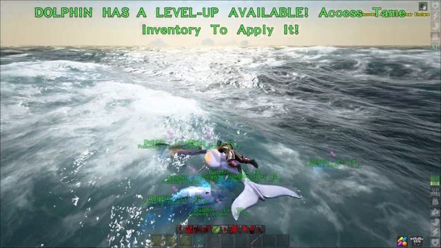 Breeding Dolphins - Atlas смотреть онлайн