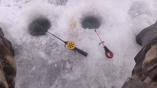 Рыбалка на сало! или рыба хохол))#сало #лещ #сорога #павлодар смотреть онлайн