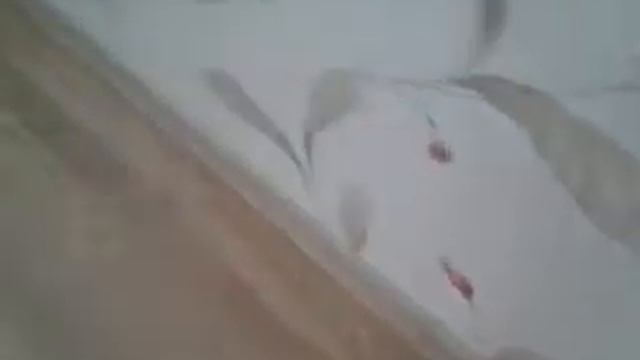 video 2013 07 20 18 44 33 смотреть онлайн