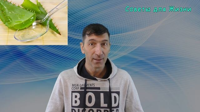 Чудодейственные Свойства АЛОЭ . Как использовать Алоэ в домашних условиях смотреть онлайн