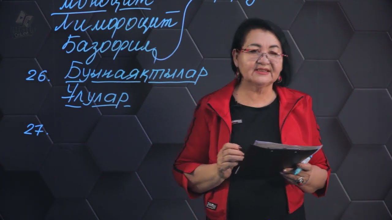 Биология - ҰБТ. 12 нұсқасы: № 24-27. смотреть онлайн