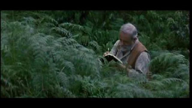 Изначальное Бытие