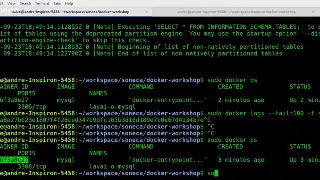 Workshop Docker - Executando o Primeiro Container смотреть онлайн