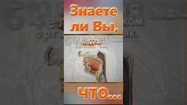 Знаете ли вы, Что? Язык смотреть онлайн