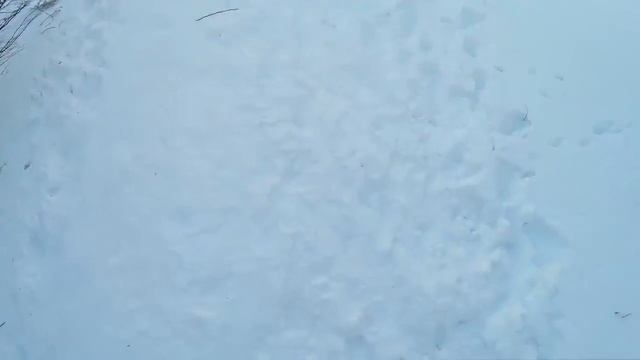 Восхождение на гору Бештау | Самая высокая вершина КМВ