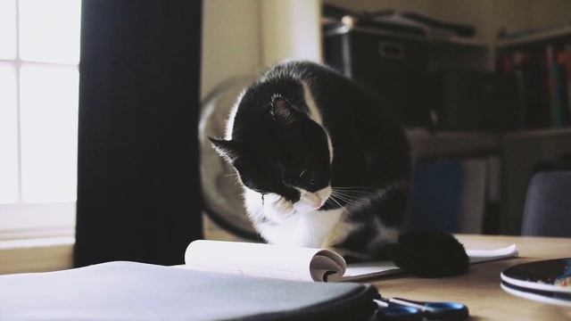 Почему нельзя дарить посуду в подарок? Приметы на кухне смотреть онлайн