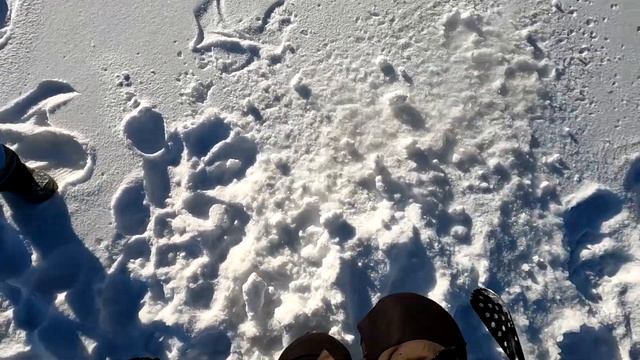 Рыбалка в глухозимье на жерлицы. Бурейское водохранилище 2022. смотреть онлайн