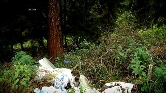 С несанкционированных свалок в Тверской области в 2020 году вывезено 4,2 тысячи кубометров мусора