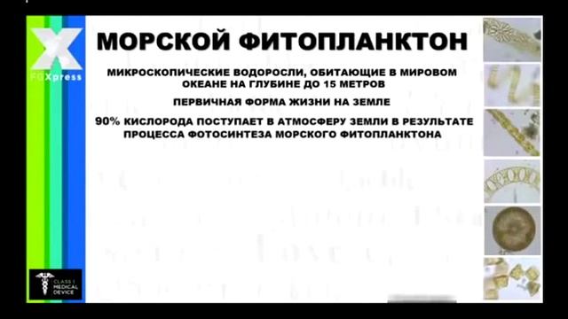 PowerStrips FGXpress - трансдермальная пластина смотреть онлайн