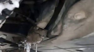 Рено Дастер опять появился шум в районе ремня грм и роликов