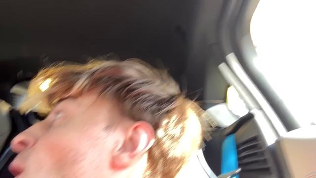 КАК СБИТЬ СЛЕД СОБАКИ ИЩЕЙКИ? смотреть онлайн