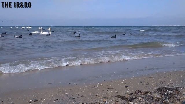 АСМР ШЕПОТ ? УСНИ НА БЕРЕГУ МОРЯ СЛАДКИЙ ГОЛОС ДЛЯ СНА ЗА 20 МИНУТ? звуки рта медитация расслаблени смотреть онлайн