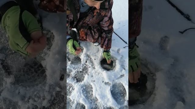 Рыбалка на Кашарском водохранилище смотреть онлайн
