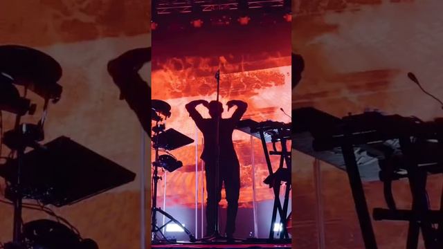 Dolphin смотреть онлайн