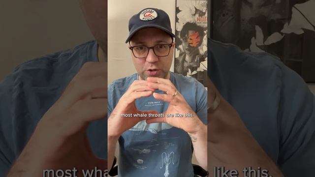 How a Viral Video Inspired WHALEFALL смотреть онлайн