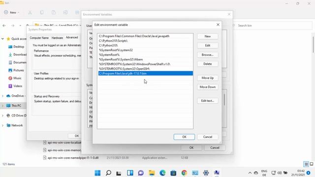 How to Setup Environment Variables for Java in Windows 11 смотреть онлайн