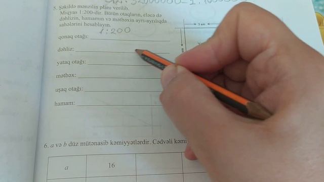 Dim 6 ci sinif riyaziyyat nisbet tenasub faiz A varianti aciq suallar смотреть онлайн