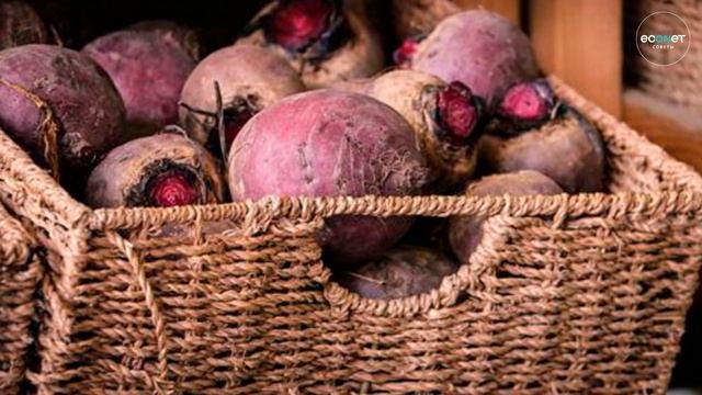 5 ошибок при хранении картофеля | ECONET.RU смотреть онлайн