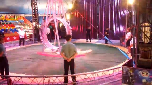 Судебные приставы, участники ШОУ Демидовых оцепили манеж цирка! смотреть онлайн