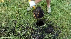 Не покупайте ручной культиватор Торнадо, пока не посмотрите это видео.