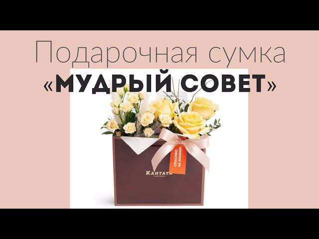 Мудрый совет смотреть онлайн