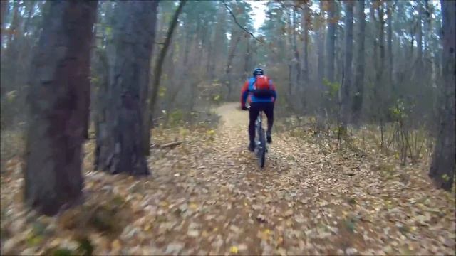 Субботняя покатушка на велосипеде 12.11.16 (short version) Gitup Git2 смотреть онлайн