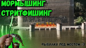 Мормышинг | Стритфишинг | Рыбалка под мостом #3