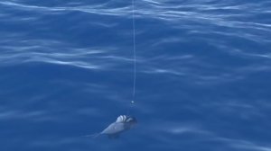 Pororo Toys l #2 Crong Goes Number Two l Pororo Toy Story  l Tayo Play & Minicar