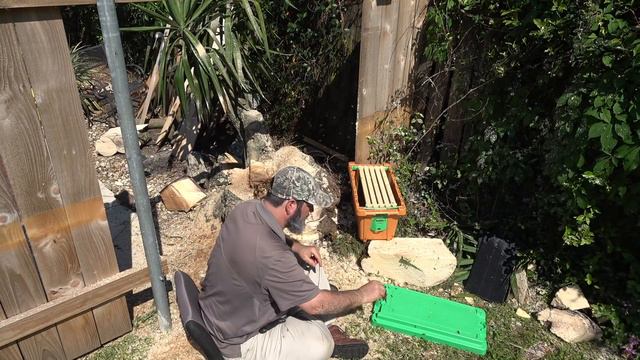 Bee Man Vs Yucca Tree смотреть онлайн