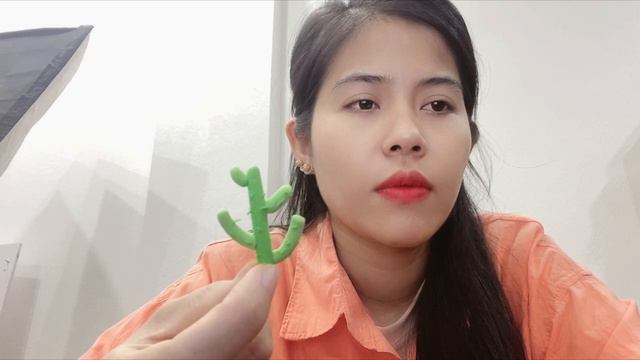 [ INDAFZ FF ] Review cactus branches are made from self-drying clay смотреть онлайн
