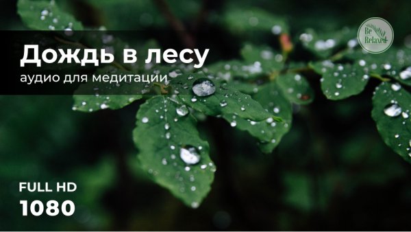 Звуки дождя | Релакс и медитация