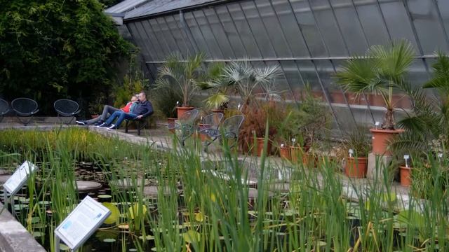 Vintage Lenses for Digital Cameras #1 Danubia 400mm and Tokina RMC 28-70mm | NO-FRILLS смотреть онлайн