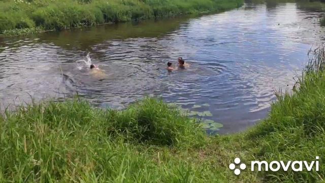 Личное. лето 2020. Лучки. смотреть онлайн