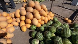 ПРИЕХАЛИ НА МОРЕ В УЗБЕКИСТАНЕ! МЫ В ШОКЕ…