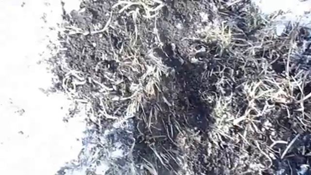 Ищем клад в Тимофеевке (ранняя весна) смотреть онлайн