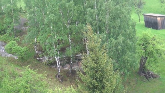 Участок на горе Стручкив под Косово смотреть онлайн