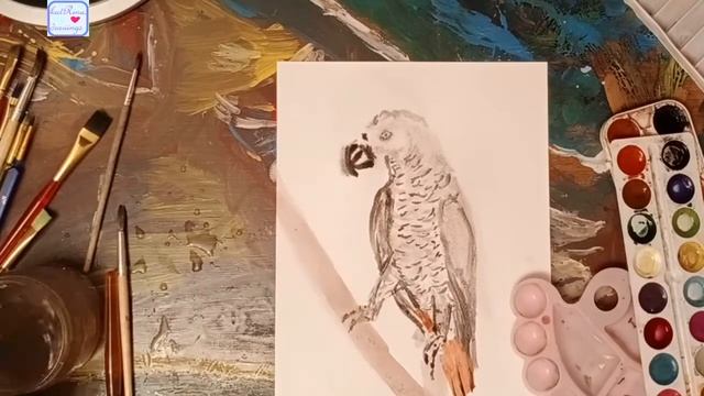 Как нарисовать жако?